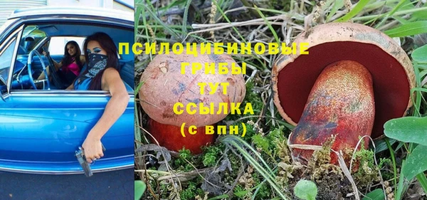 прущая мука Алзамай