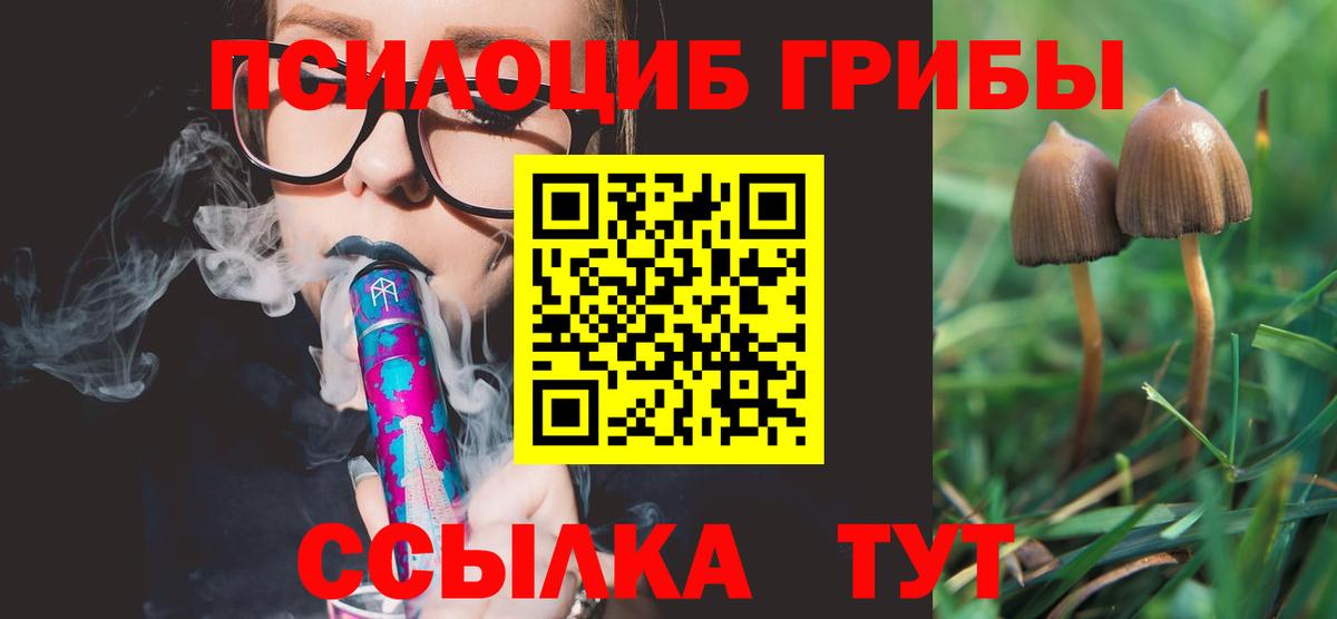 Галлюциногенные грибы GOLDEN TEACHER  Псилоцибиновые грибы GOLDEN TEACHER  Нефтекамск  Вход с VPN 